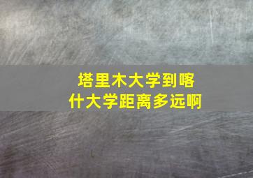 塔里木大学到喀什大学距离多远啊