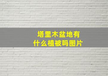 塔里木盆地有什么植被吗图片