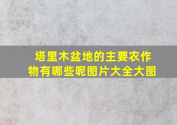 塔里木盆地的主要农作物有哪些呢图片大全大图