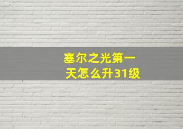 塞尔之光第一天怎么升31级