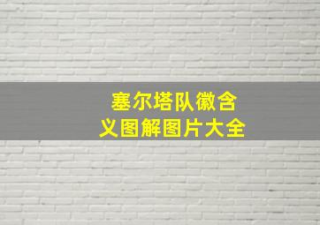 塞尔塔队徽含义图解图片大全