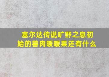 塞尔达传说旷野之息初始的兽肉暖暖果还有什么