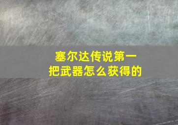 塞尔达传说第一把武器怎么获得的