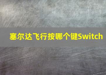 塞尔达飞行按哪个键Switch