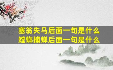 塞翁失马后面一句是什么螳螂捕蝉后面一句是什么