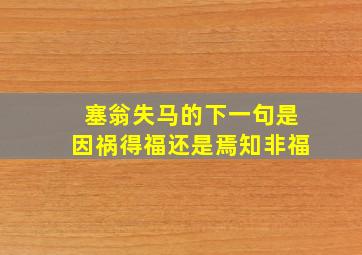 塞翁失马的下一句是因祸得福还是焉知非福