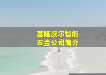 塞隆威尔智能五金公司简介