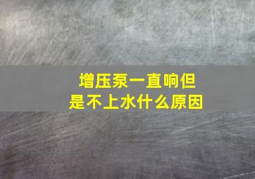 增压泵一直响但是不上水什么原因