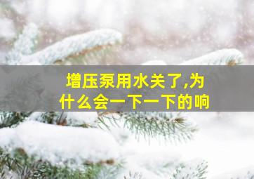 增压泵用水关了,为什么会一下一下的响