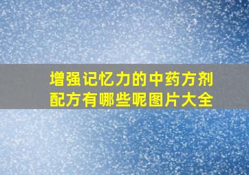 增强记忆力的中药方剂配方有哪些呢图片大全