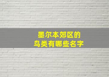 墨尔本郊区的鸟类有哪些名字