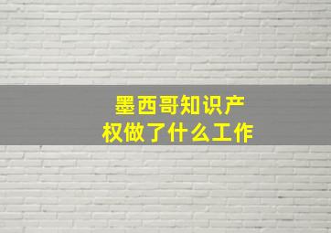 墨西哥知识产权做了什么工作