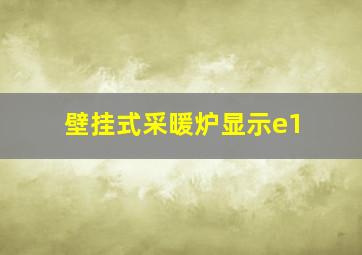 壁挂式采暖炉显示e1