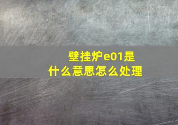 壁挂炉e01是什么意思怎么处理