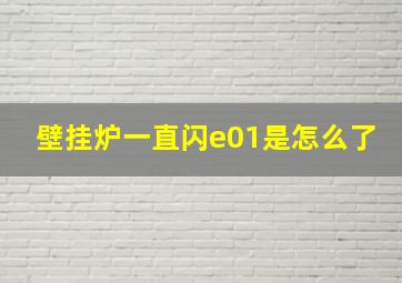 壁挂炉一直闪e01是怎么了