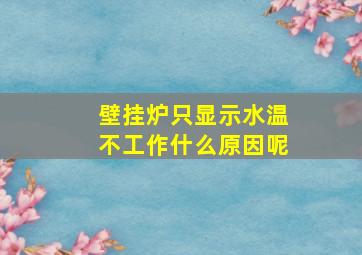 壁挂炉只显示水温不工作什么原因呢