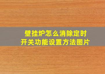 壁挂炉怎么消除定时开关功能设置方法图片