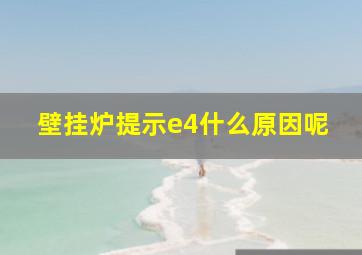 壁挂炉提示e4什么原因呢