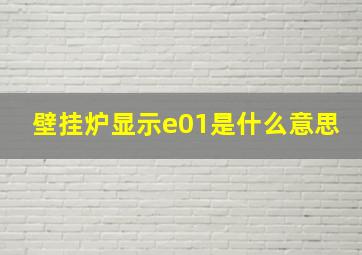 壁挂炉显示e01是什么意思