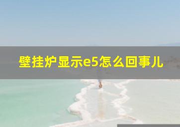 壁挂炉显示e5怎么回事儿