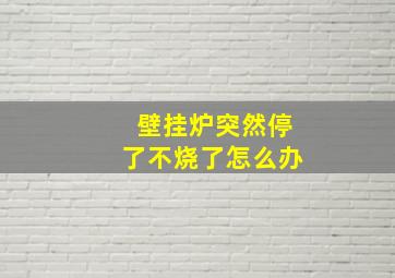 壁挂炉突然停了不烧了怎么办