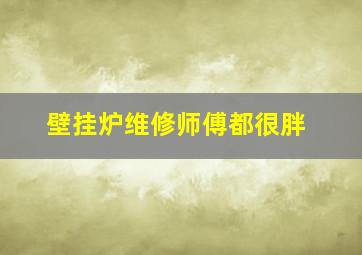 壁挂炉维修师傅都很胖