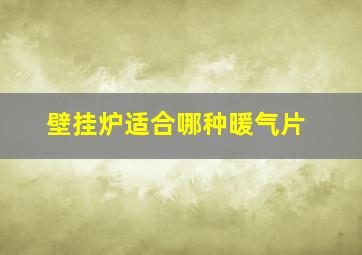 壁挂炉适合哪种暖气片