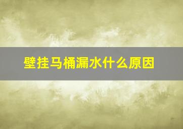 壁挂马桶漏水什么原因