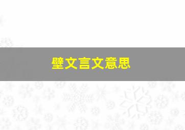 壁文言文意思