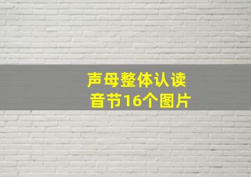 声母整体认读音节16个图片