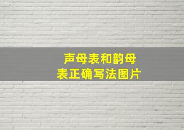 声母表和韵母表正确写法图片