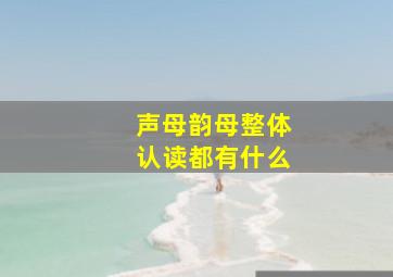 声母韵母整体认读都有什么