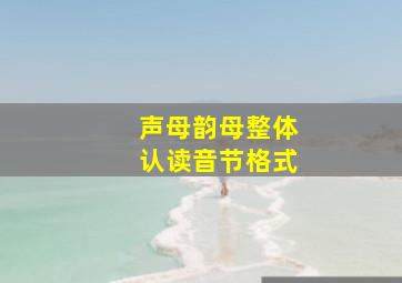 声母韵母整体认读音节格式