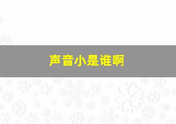 声音小是谁啊