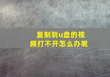 复制到u盘的视频打不开怎么办呢