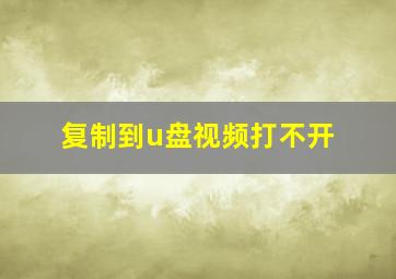 复制到u盘视频打不开