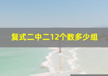 复式二中二12个数多少组