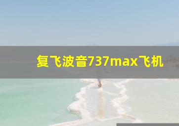 复飞波音737max飞机