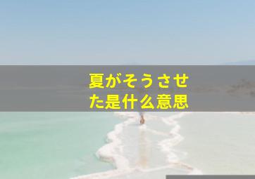 夏がそうさせた是什么意思