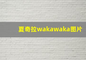 夏奇拉wakawaka图片