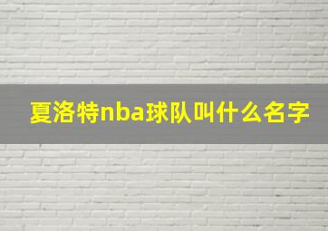 夏洛特nba球队叫什么名字