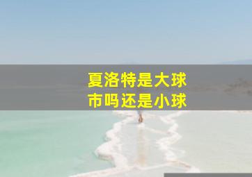 夏洛特是大球市吗还是小球