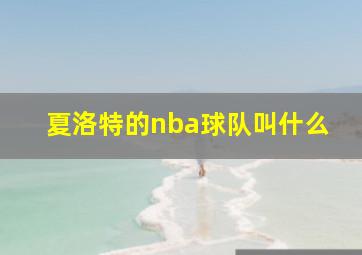 夏洛特的nba球队叫什么