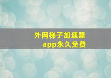 外网梯子加速器app永久免费