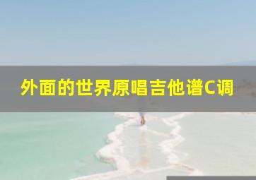 外面的世界原唱吉他谱C调