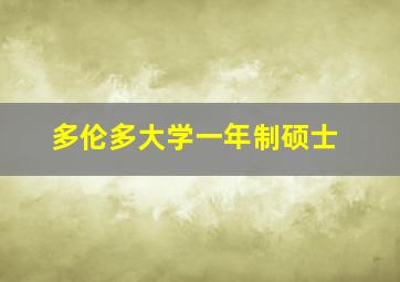 多伦多大学一年制硕士