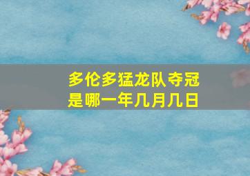 多伦多猛龙队夺冠是哪一年几月几日