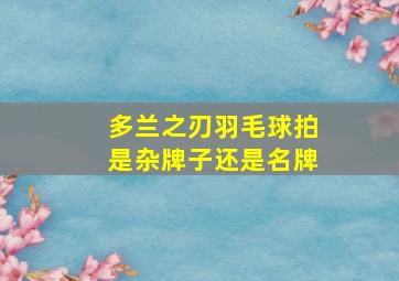 多兰之刃羽毛球拍是杂牌子还是名牌