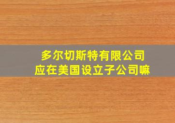 多尔切斯特有限公司应在美国设立子公司嘛