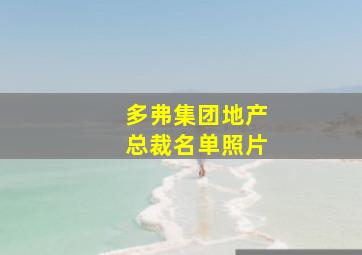 多弗集团地产总裁名单照片